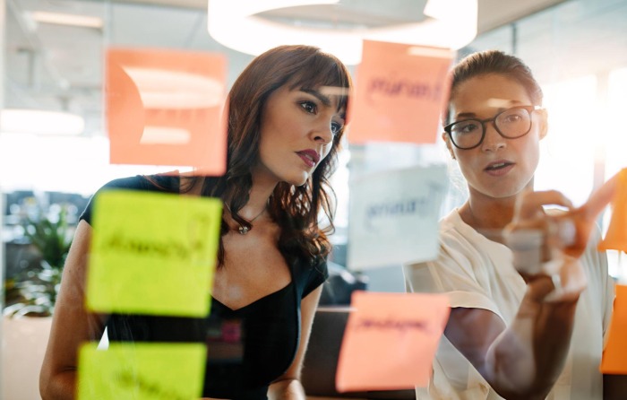 Understanding Your Audience