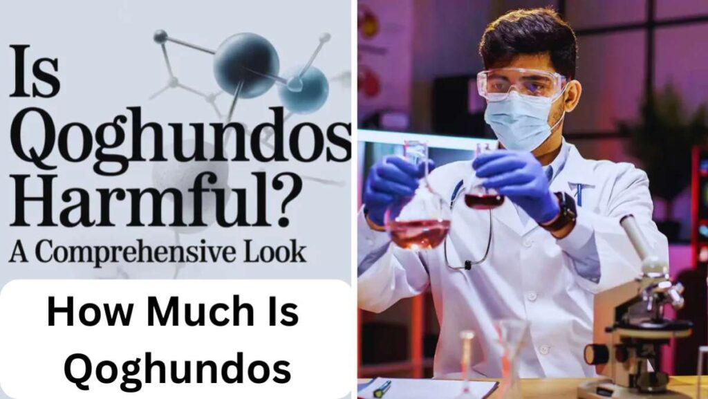 how-much-is-qoghundos